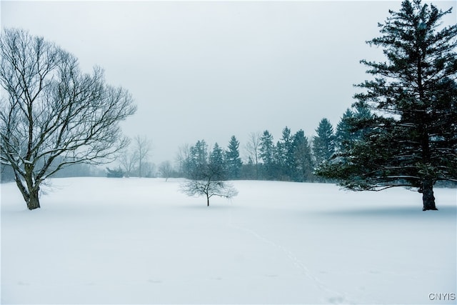 view of yard covered in snow