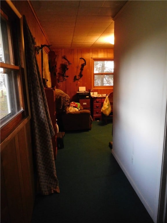 bedroom with wooden walls and carpet flooring