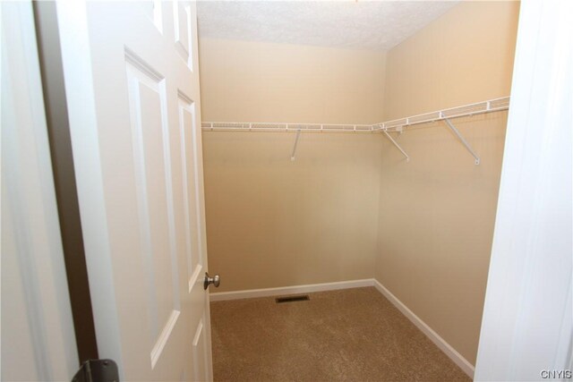 LOT214 Tall Tree Ln, Lysander, NY 13027 - spacious closet featuring carpet flooring and visible vents