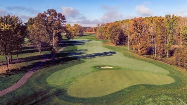 LOT214 Tall Tree Ln, Lysander, NY 13027 - view of community featuring golf course view