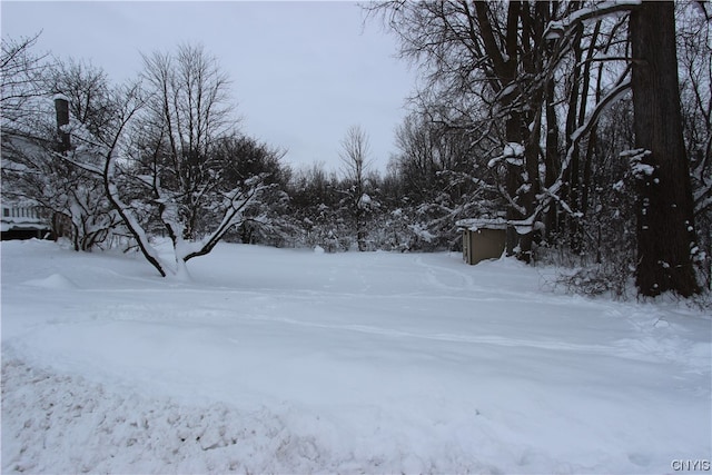 view of yard layered in snow