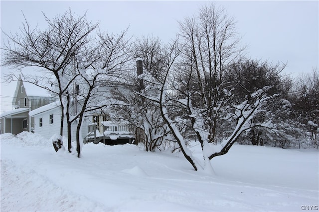 view of yard covered in snow