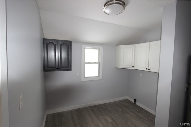 washroom featuring cabinets and dark hardwood / wood-style floors