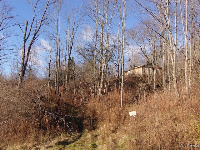 5338 Bryant Hill Rd, Ellicottville NY, 14731 land for sale