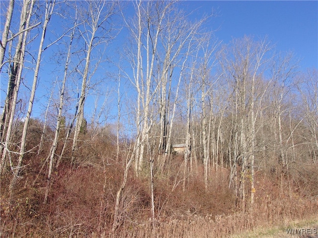 Listing photo 3 for 5338 Bryant Hill Rd, Ellicottville NY 14731