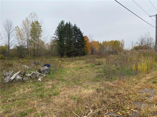 0 Caughdenoy Rd, Clay, NY 13041 - photo 24