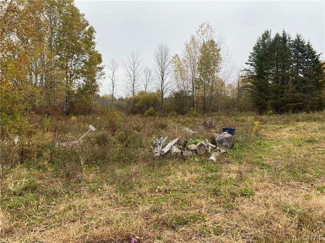0 Caughdenoy Rd, Clay, NY 13041 - photo 9