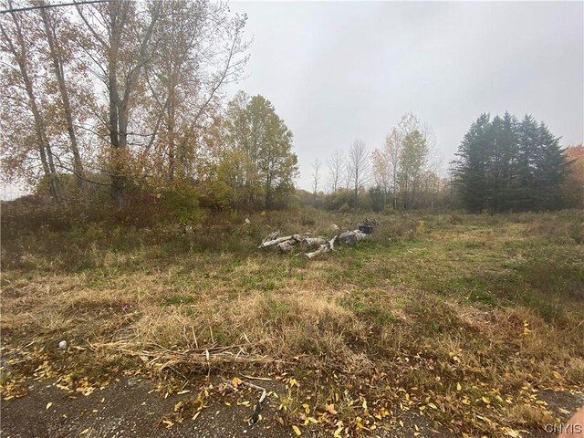 0 Caughdenoy Rd, Clay, NY 13041 - photo 25