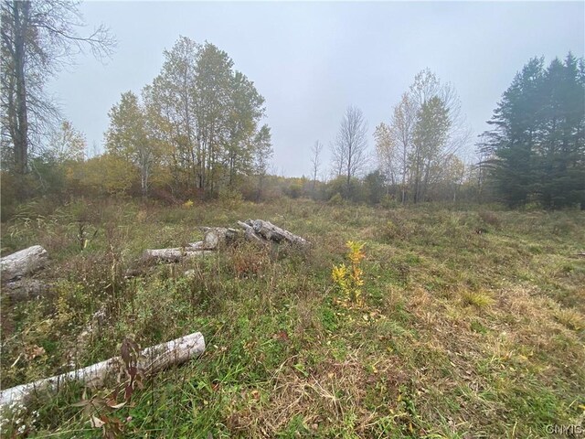 0 Caughdenoy Rd, Clay, NY 13041 - photo 7