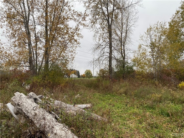 0 Caughdenoy Rd, Clay NY, 13041 land for sale