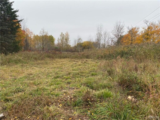 0 Caughdenoy Rd, Clay, NY 13041 - photo 10