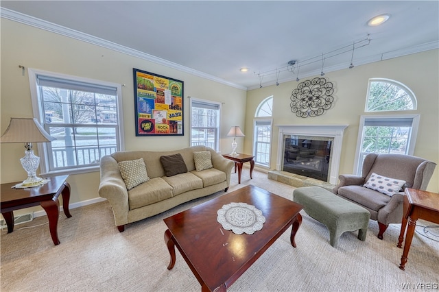 living room featuring ornamental molding, light carpet, and rail lighting