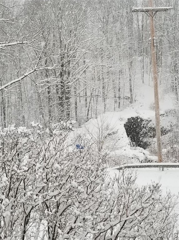 view of snowy landscape