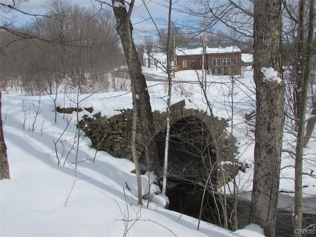 view of yard layered in snow