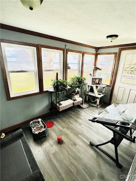 interior space featuring ornamental molding, hardwood / wood-style floors, and a healthy amount of sunlight