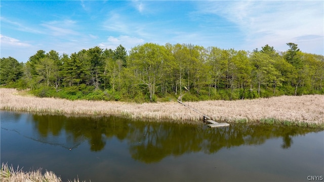 0 Beaver Mdw, Lyme NY, 13622 land for sale