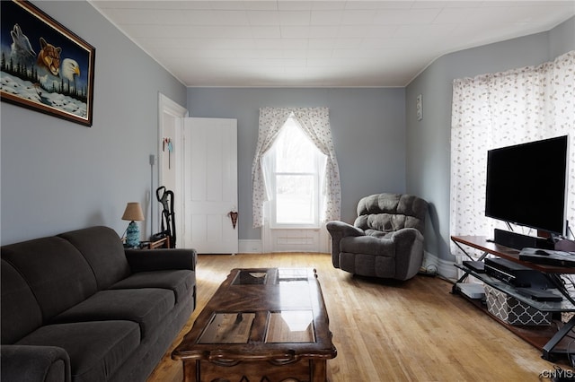 living room with light wood-type flooring