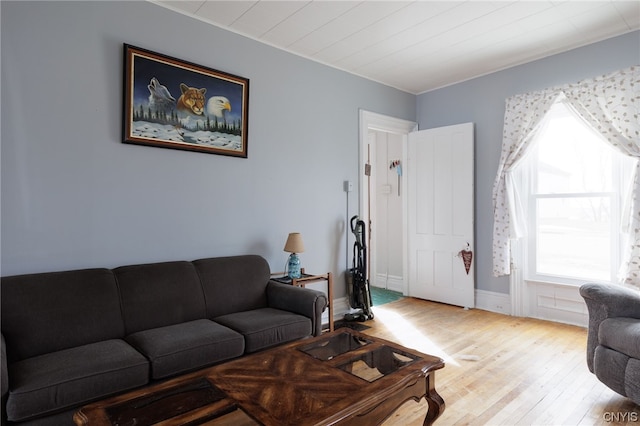 living room with light hardwood / wood-style floors