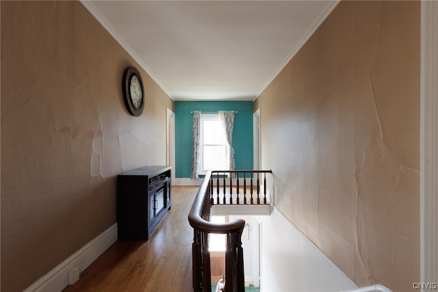 corridor featuring ornamental molding and hardwood / wood-style floors