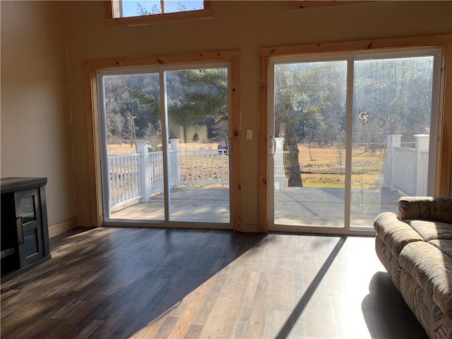 doorway featuring dark hardwood / wood-style flooring and plenty of natural light