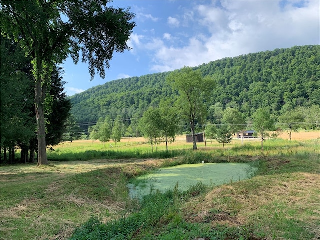 property view of mountains with a rural view