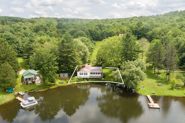 aerial view with a water view