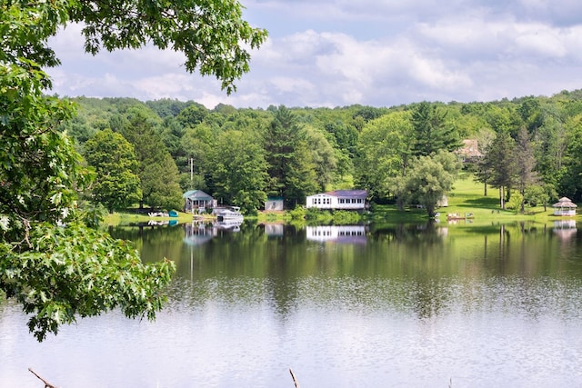 property view of water