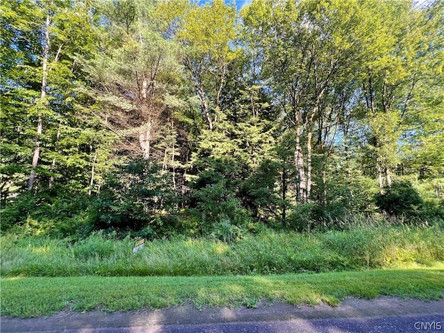 0 Burton Rd, Camden NY, 13316 land for sale