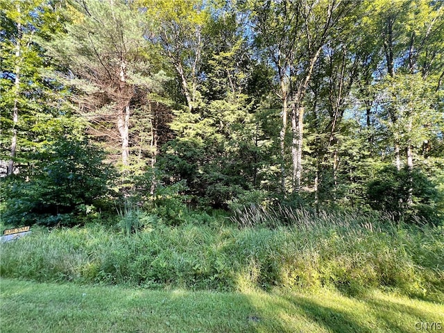 Listing photo 3 for 0 Burton Rd, Camden NY 13316