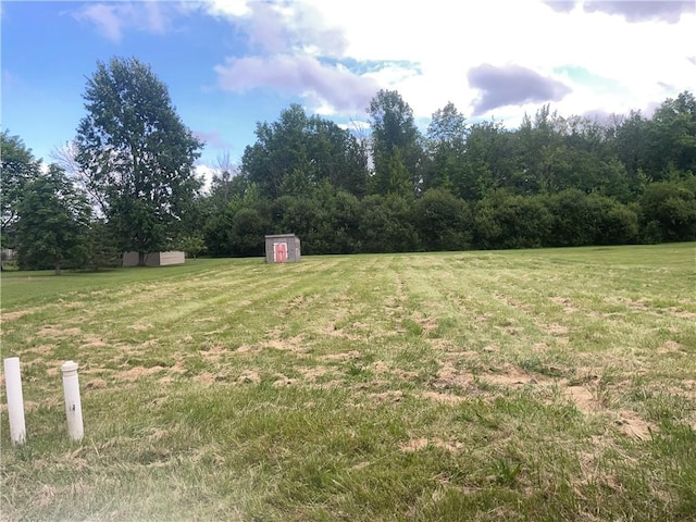 view of yard with a storage unit