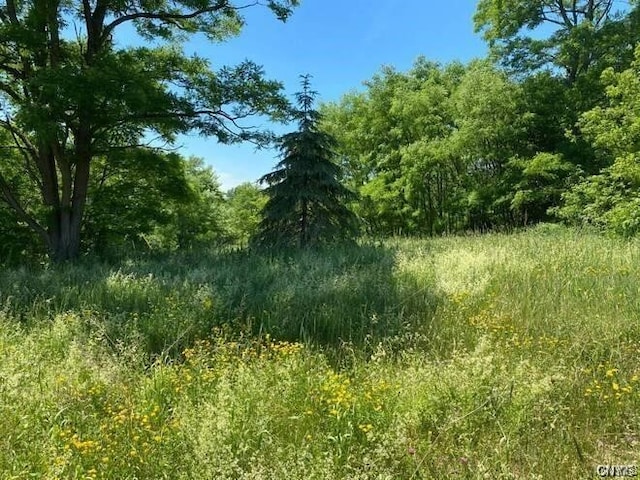 Listing photo 3 for 6289LOT53 Cavanaugh Rd, Marcy NY 13440