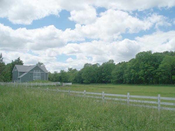 view of yard featuring a rural view