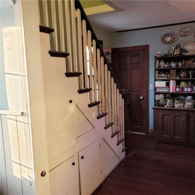 stairs with dark hardwood / wood-style floors