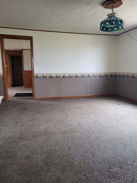 empty room featuring carpet