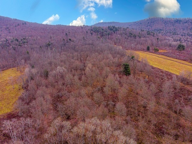 view of mountain feature