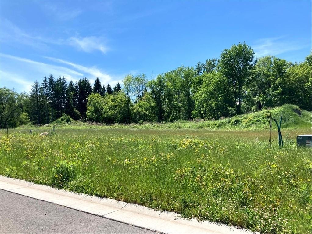 1204 Lake Point Dr, Webster, NY 14580 - view of nature