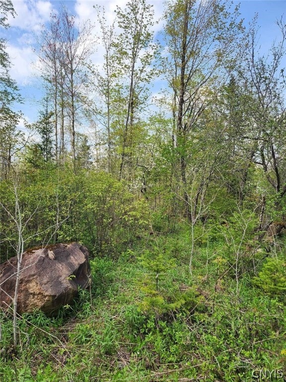 0 Wheelertown Rd, Russia NY, 13438 land for sale