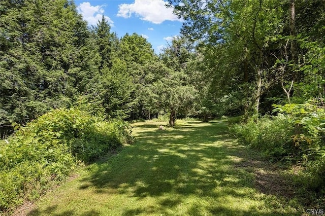 Listing photo 3 for LOT00 Rte 8, Deerfield NY 13431