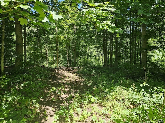 LOT13 Ryan Rd, Brutus NY, 13166 land for sale