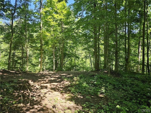 Listing photo 2 for LOT13 Ryan Rd, Brutus NY 13166