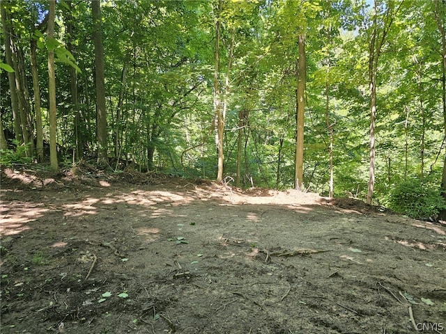 Listing photo 3 for LOT13 Ryan Rd, Brutus NY 13166