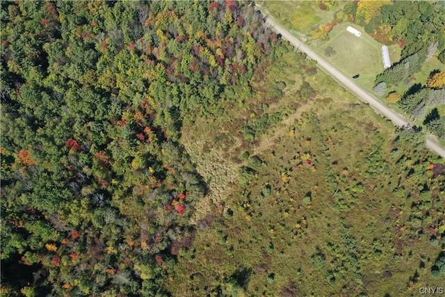 0 Williams Rd, Orange, NY 14815