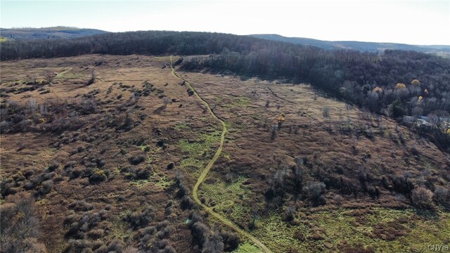 0 Starr Rd, Cortlandville, NY 13045 - photo 5