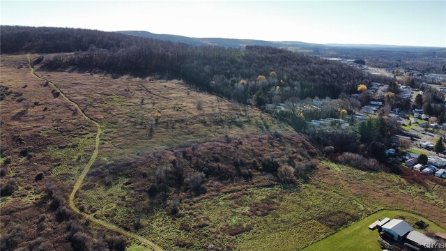 0 Starr Rd, Cortlandville, NY 13045 - photo 6