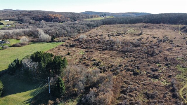 0 Starr Rd, Cortlandville, NY 13045 - photo 7