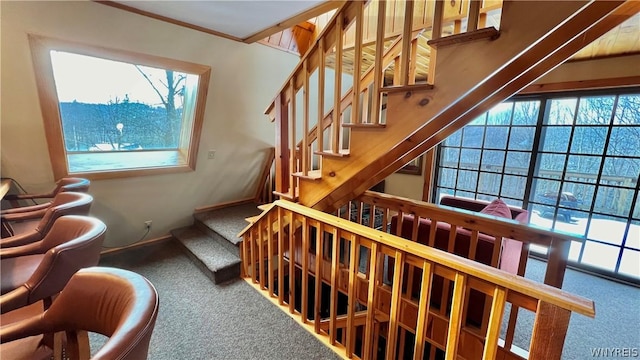 stairway featuring ornamental molding and carpet flooring