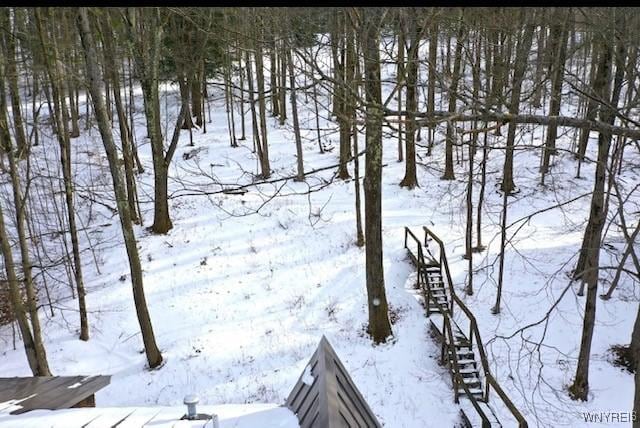 view of yard layered in snow