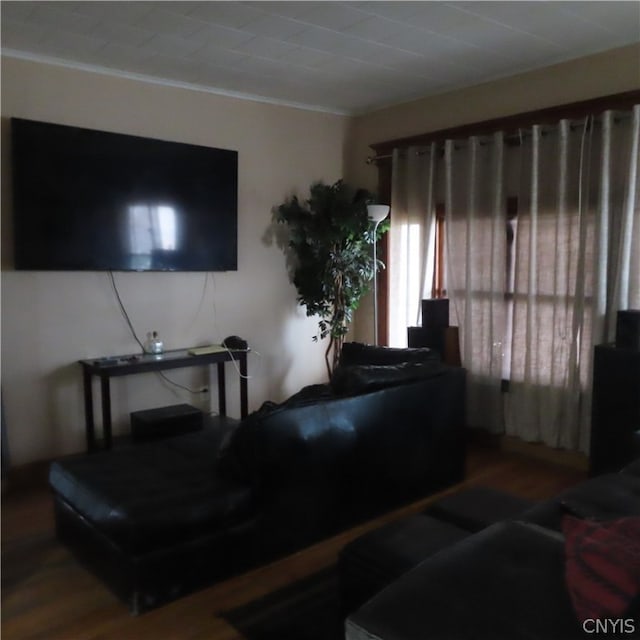 living room featuring dark wood-type flooring