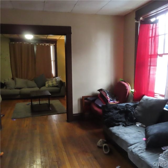 living room featuring dark wood-type flooring and a paneled ceiling