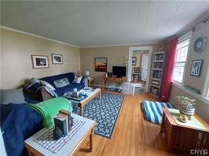 living room with light hardwood / wood-style flooring